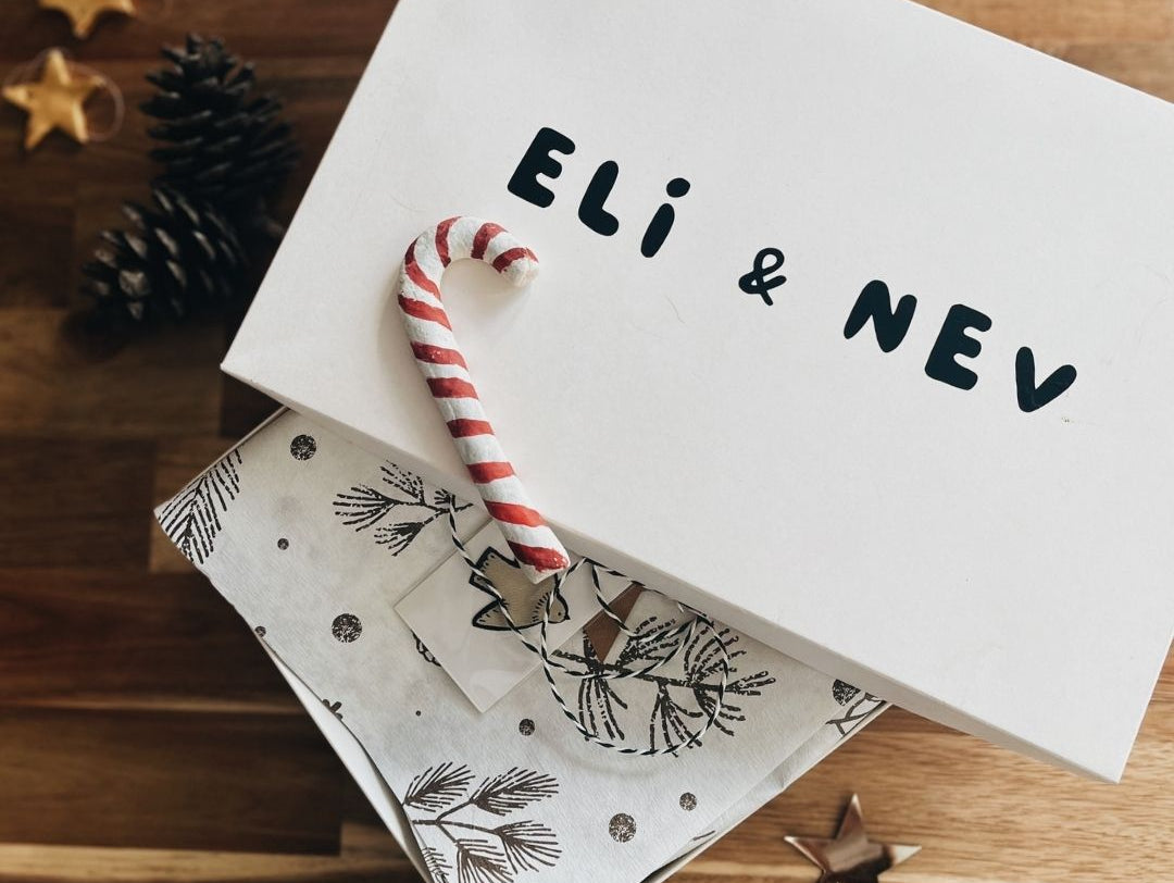 Celebrating Christmas with Eli & Nev!