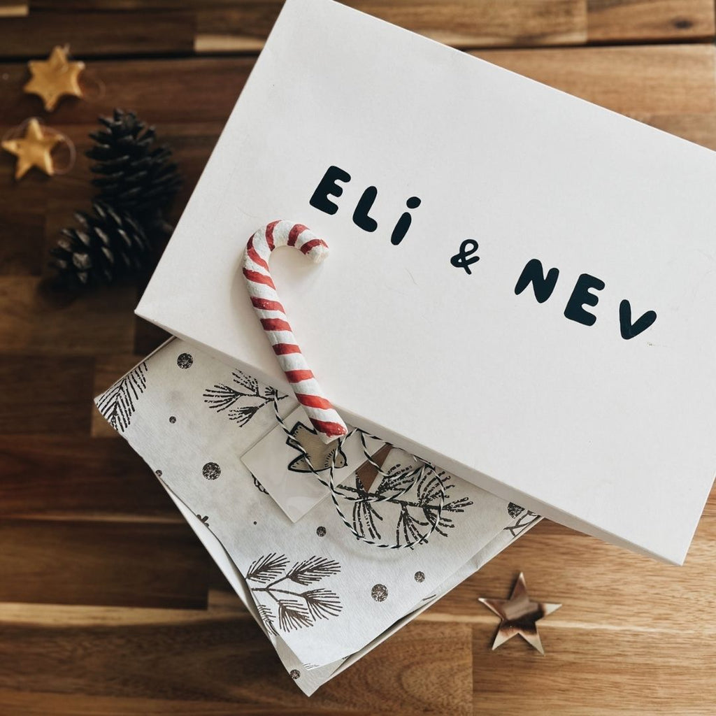 Celebrating Christmas with Eli & Nev!