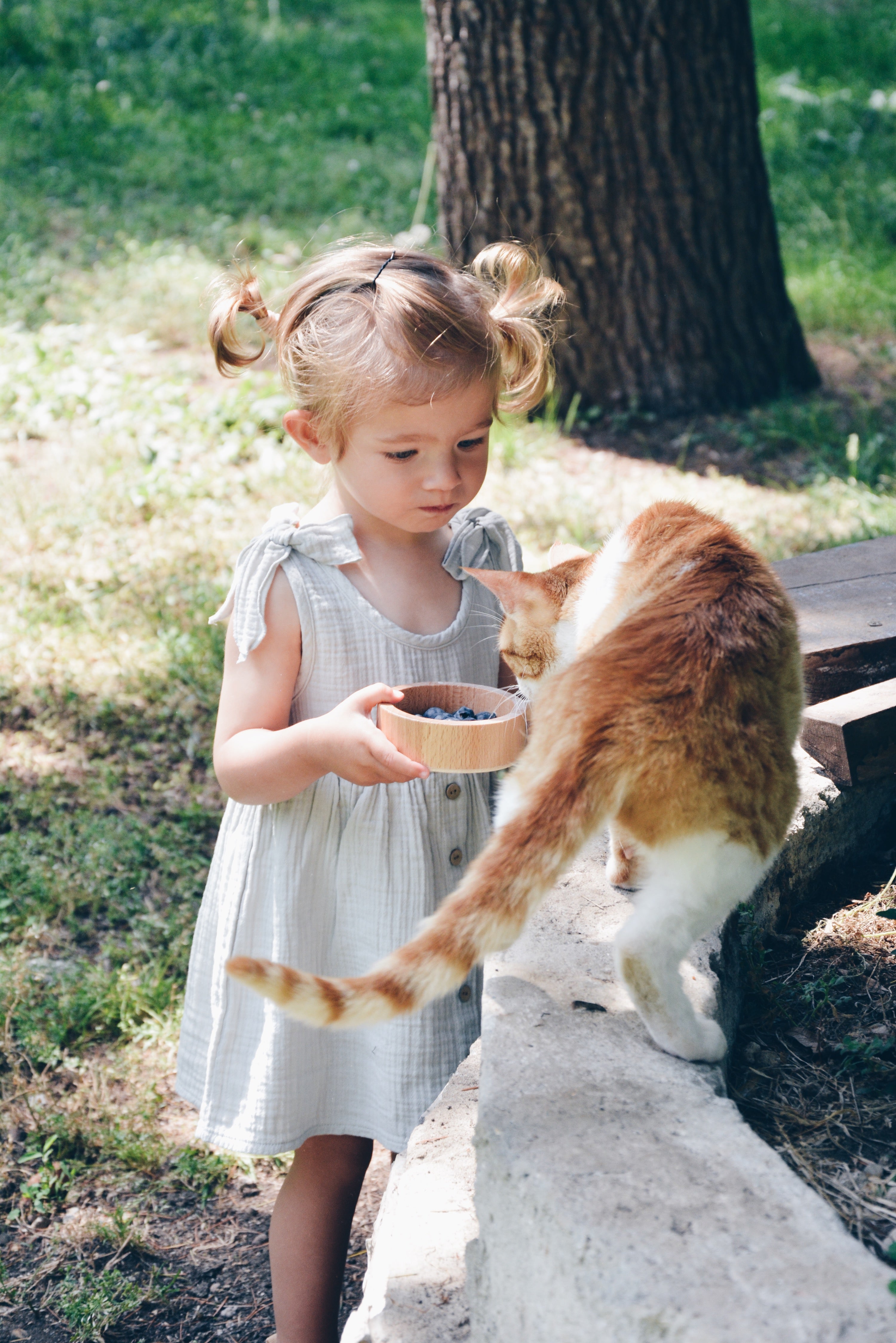 LILOU Dress – Eli & Nev