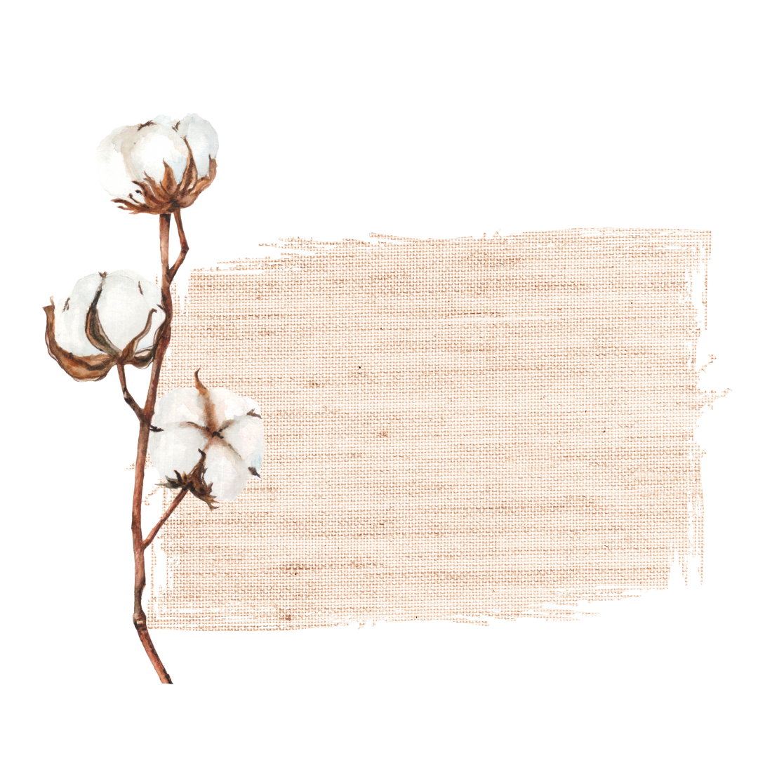 Cotton flowers with sandy textured background